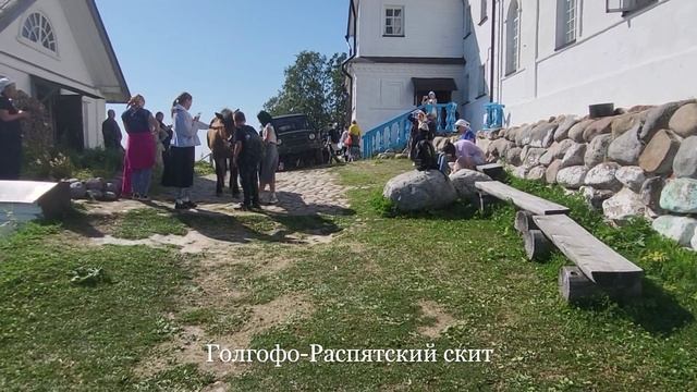 Соловецкие коровы и лошади. Cows And Horses On Solovki Island