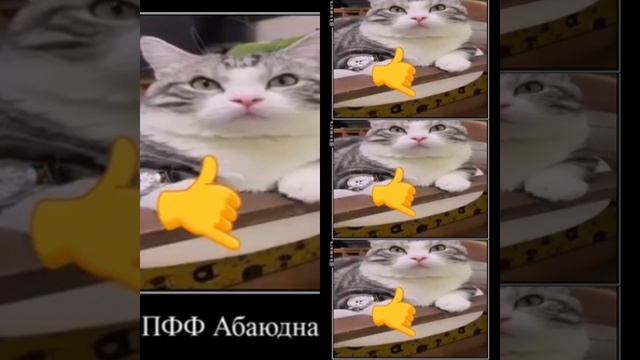 Абабаюдна