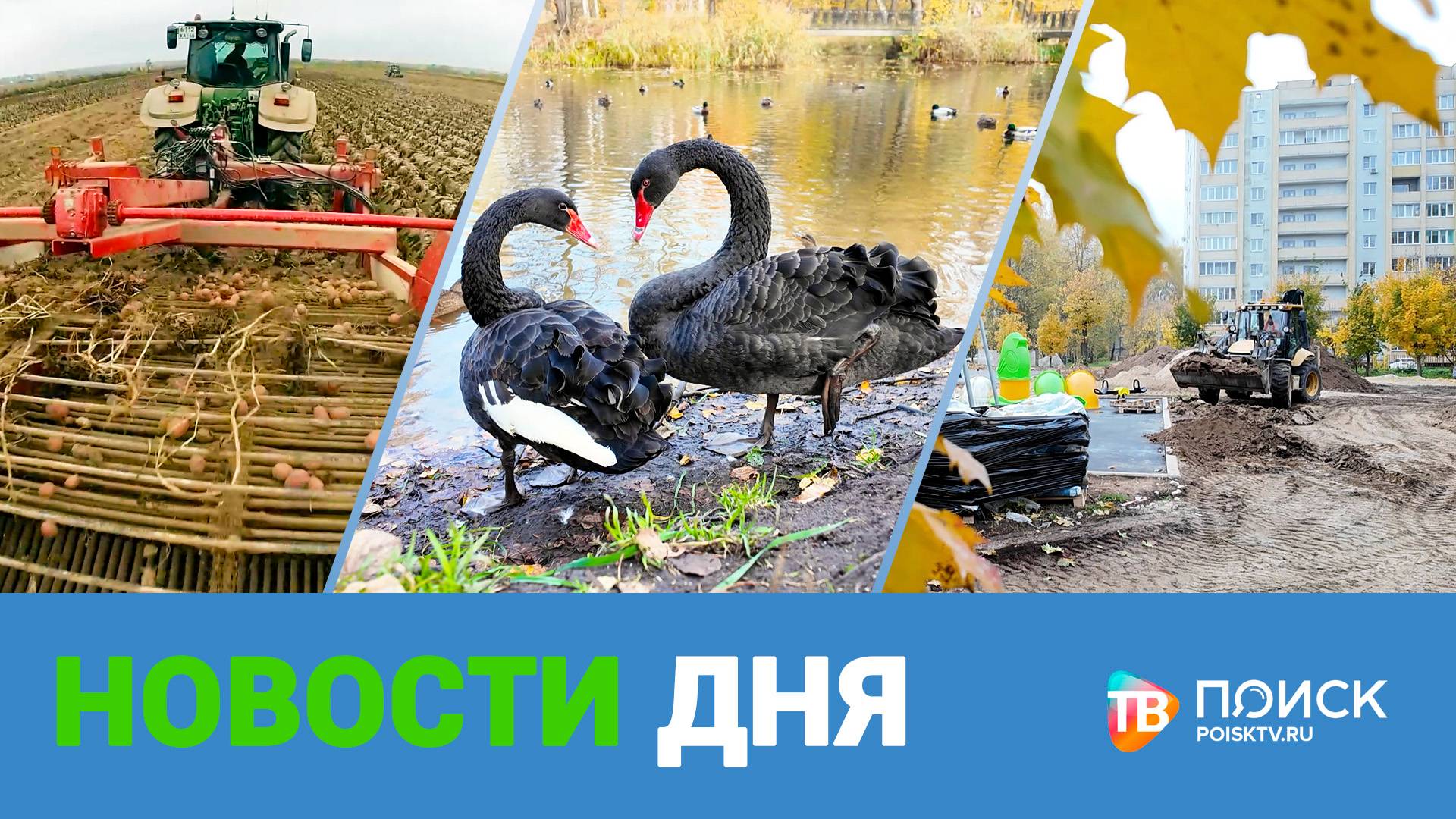 Клин. Новости дня 10.10.25