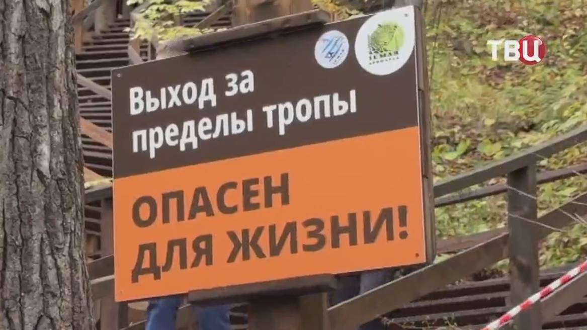 Экологи решили добавить красок лесу в парке 