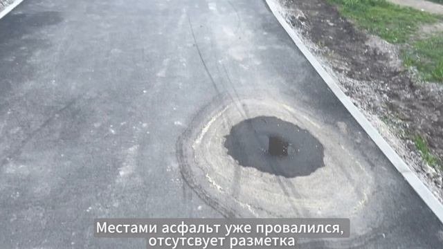 Экорадар на проспекте Славы: где велодорожка  там и пешеходы вынужденно