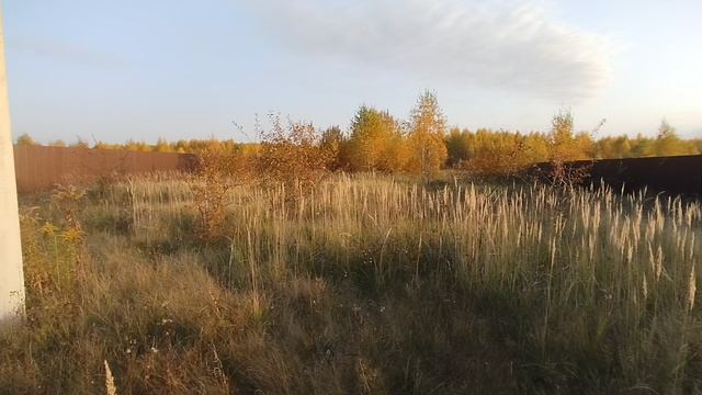 Участок 12 соток. д.Сетка, Тульская область