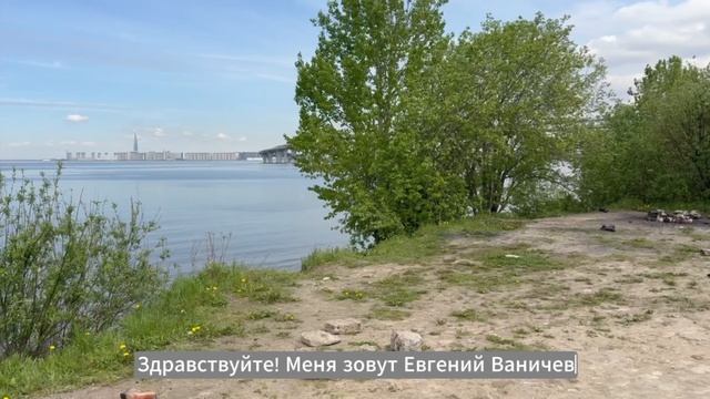 Что происходит с Канонерским парком?