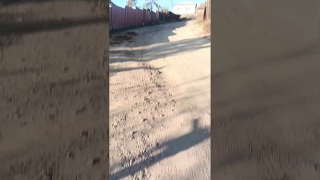 следил за лбдям