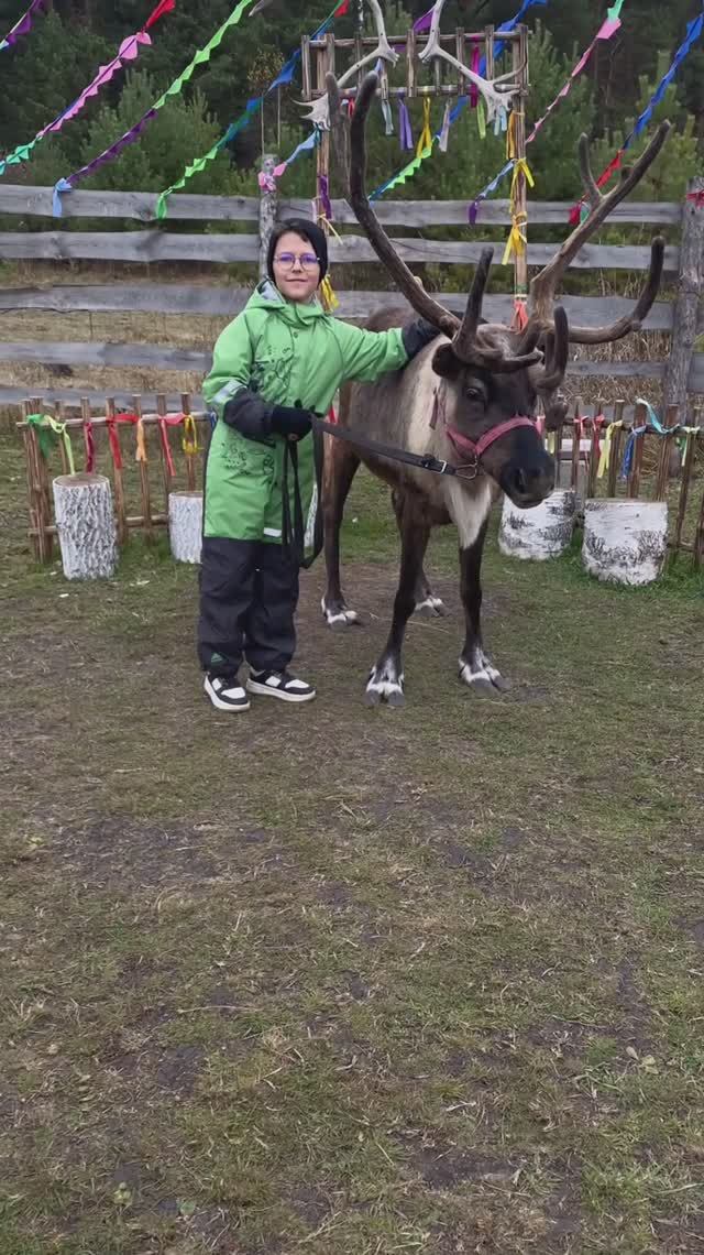 Парк с северными оленями!