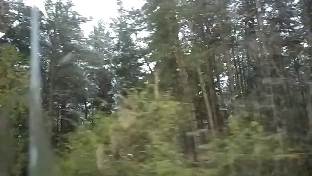 VID_20251011_100232.mp4