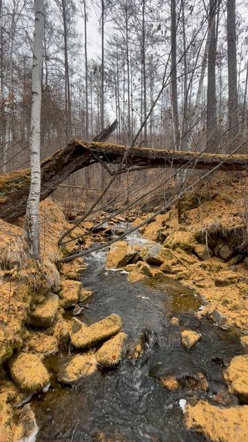 Осень