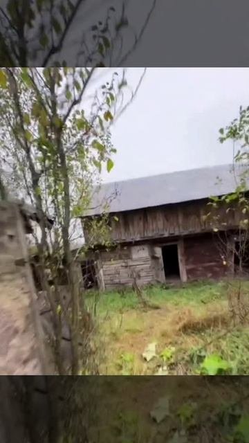 Почти Европа_ Зона отчуждения для ухилянтов