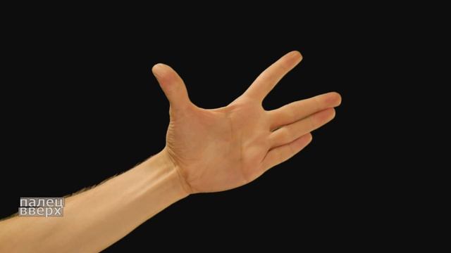 Пальчиковая разминка_4