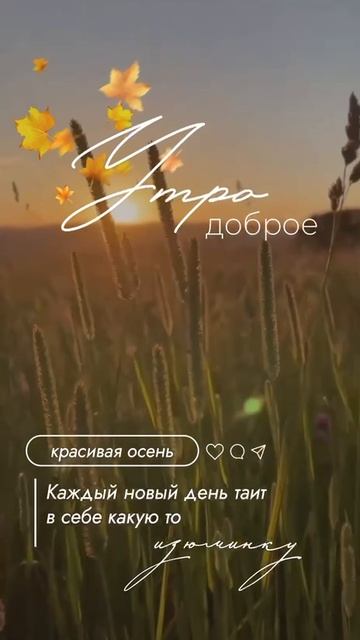 Доброе утро