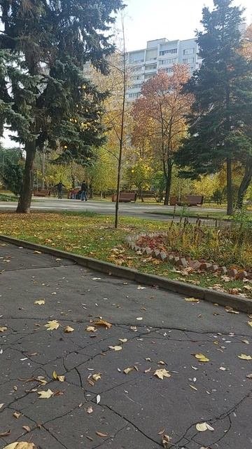 Осенняя зарисовка