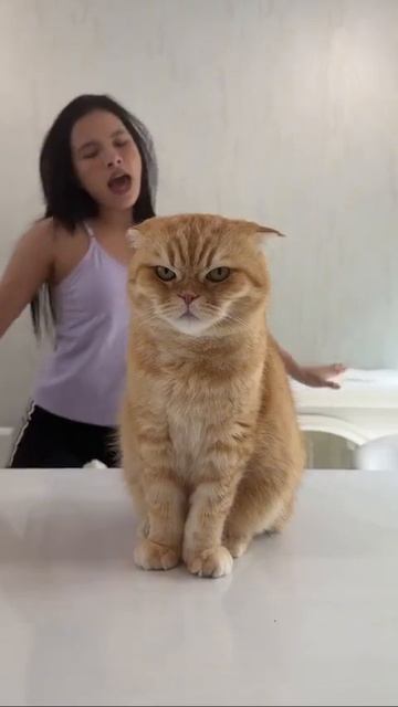 За што мне это всё...