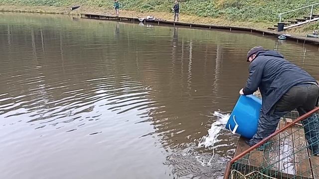 Forest Fishing 11.10.25