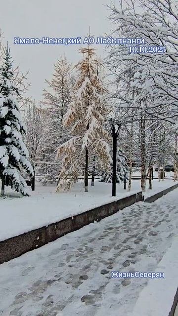 Зима пришла осенью и закончится летом. Реальная жизнь за полярным кругом Ямало-НенецкийАО Лабытнанги