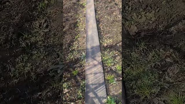 1000111041.mp4