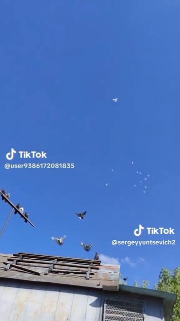 1000009739.mp4