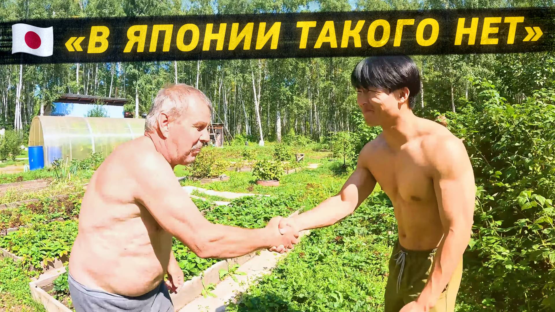 Японец впервые на даче. Культурный шок, шашлыки, рыбалка и грибы