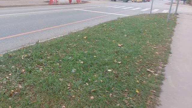 Прогулка у метро Люблино Москва