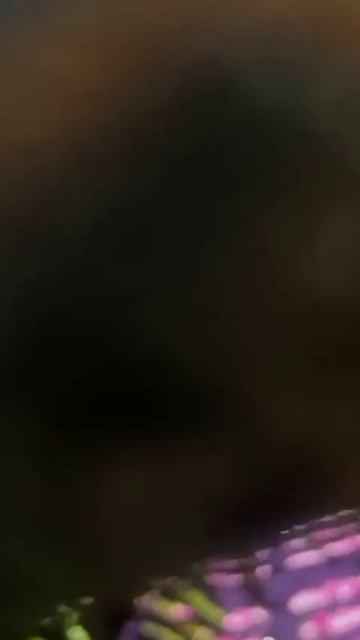 11-10-2025