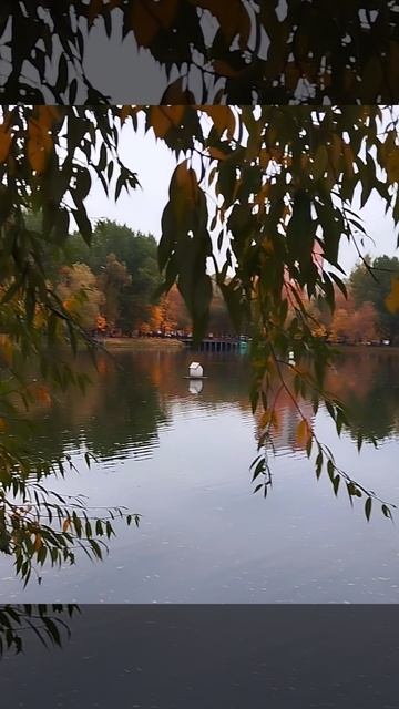 Осенние краски