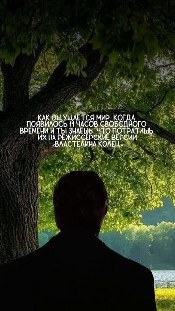 NELLA MUSICA ORCHESTRA «Симфомультимедия. Властелин колец»