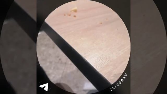 1760131237580.mp4