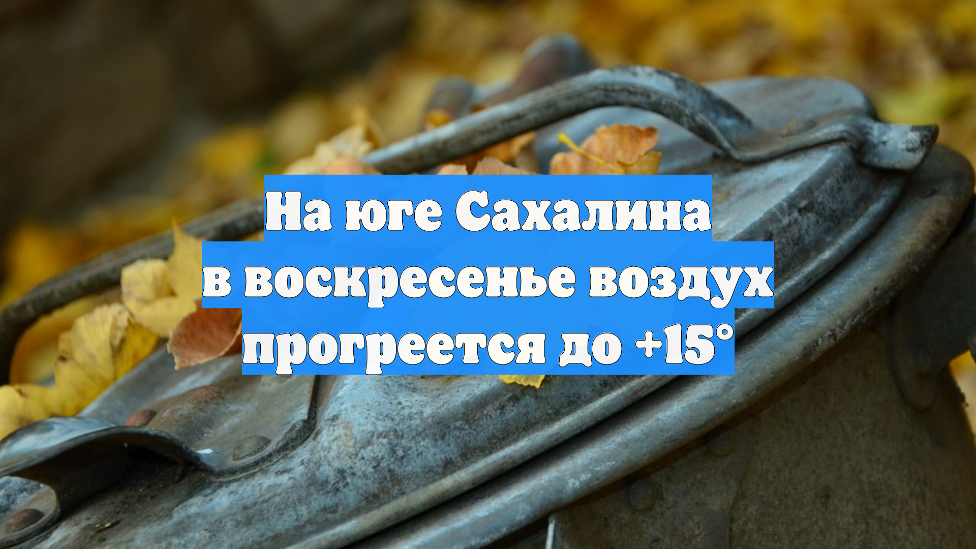 На юге Сахалина в воскресенье воздух прогреется до +15°