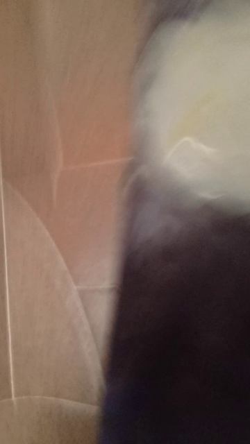 никогда не делайте со звёздами инопланетяна у кого нет кисти