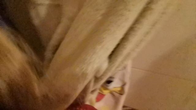 VID_20251011_134702.mp4