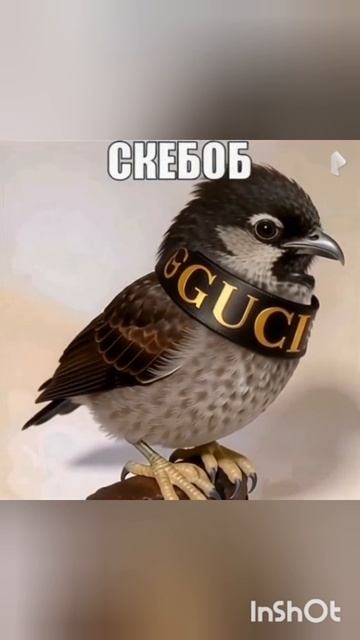 скебоб