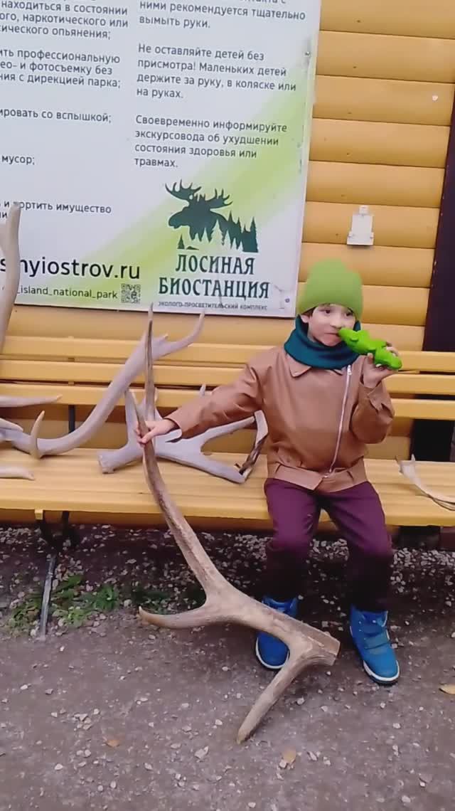 Биостанция, Лосиный остров 09.10.2025