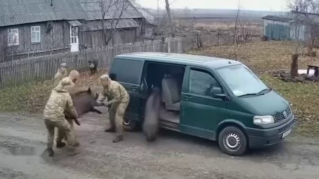 Как нейросеть видит бусификацию