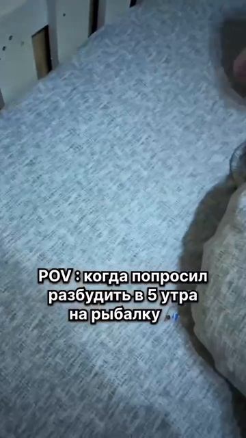 Клип @zatropheem