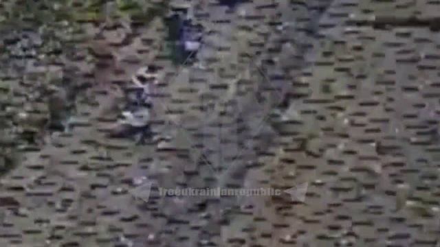Перешедшие на сторону России солдаты ВСУ уничтожают технику НАТО и пехоту ВСУ в боях у Покровска