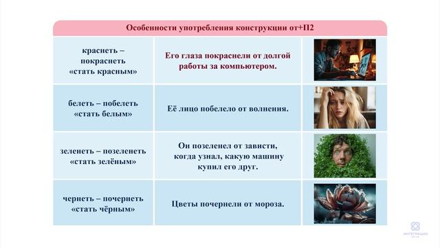 Видеоурок №25