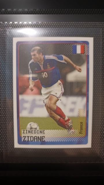Panini Дорога на ЧМ 2002