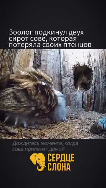 Все мамы очень любят своих детей Даже чужих