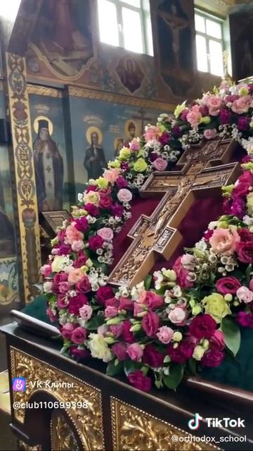 Бывшие ученики, предмет Технология для мальчиков 5 - 6 класс