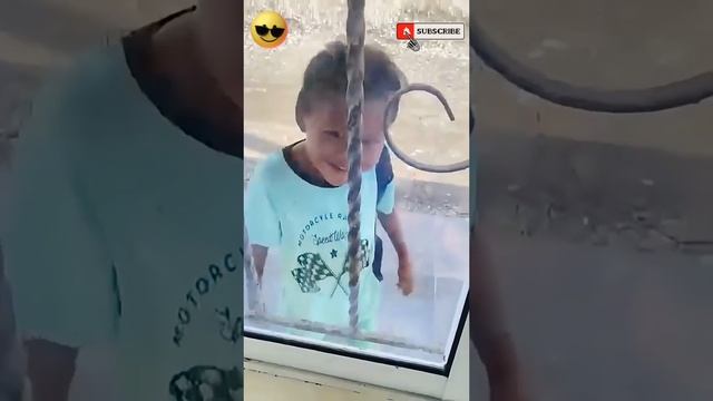 Эти Люди Вообще Не Думают Своей Головой‼️🤣🤯