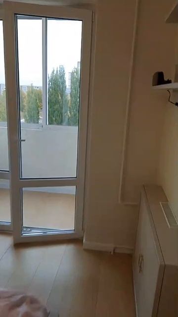 VID-20251010-WA0024