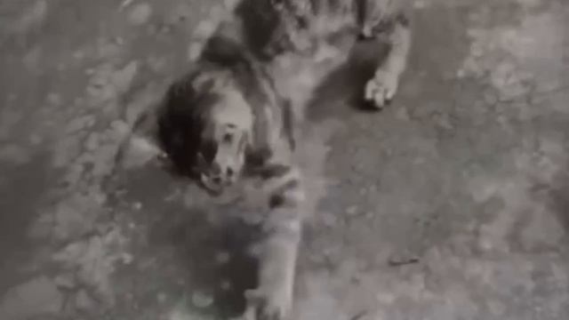 ЮМОР)))