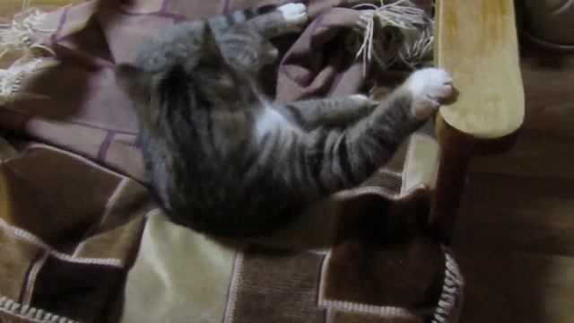 Чтобы такого сделать плохого?