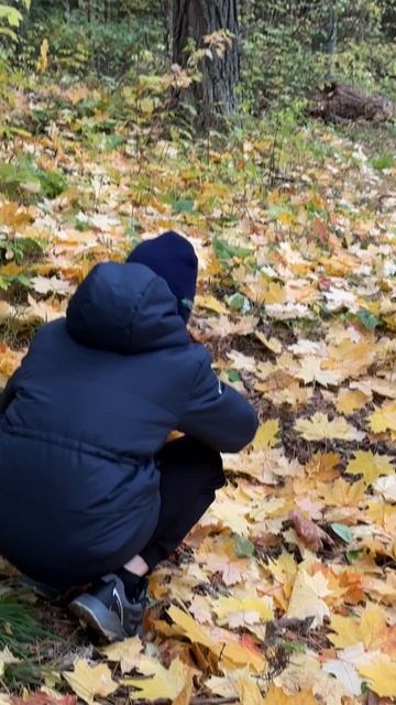 11-10-2025 Продолжите строки Сергея Есенина «Отговорила роща золотая березовым, веселым языком…»