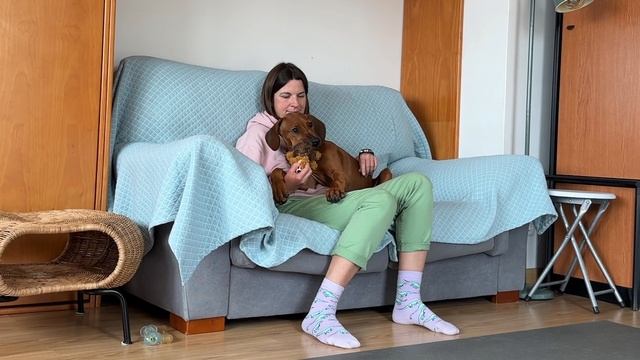 Что делать, если щенок кусает