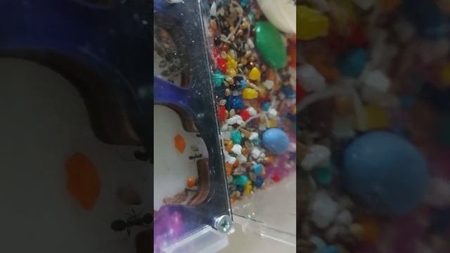 1000051963.mp4