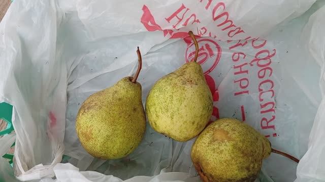Плоды груши Просто Мария