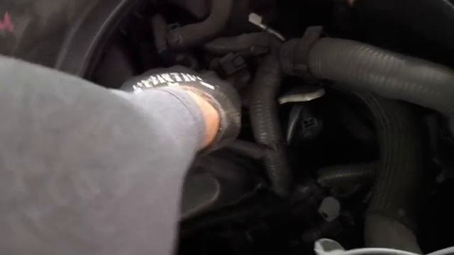 WhatsApp Video 2025-09-09 At 09.21.14