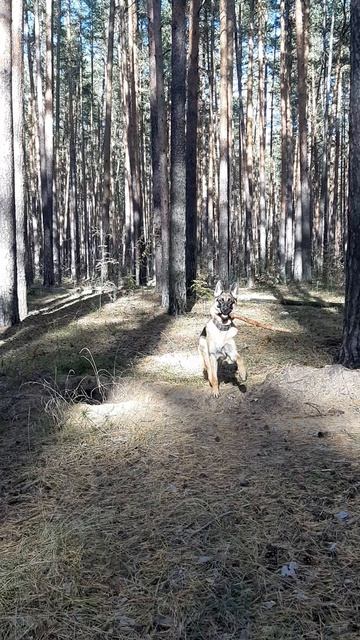 20250930_133706.mp4