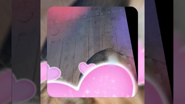 1000037029.mp4 (Собака смотрит на монтаж электропроводки (в э/щите) в доме А-фрейм)