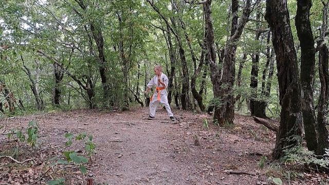 выполнение каты карате киокушинкай на оранжевый пояс